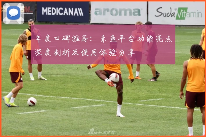 年度口碑推荐：乐鱼平台功能亮点深度剖析及使用体验分享