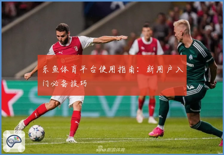 乐鱼体育平台使用指南：新用户入门必备技巧