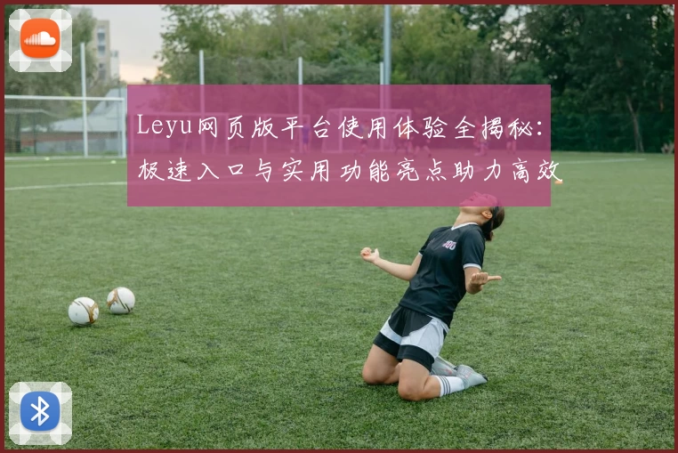 Leyu网页版平台使用体验全揭秘：极速入口与实用功能亮点助力高效操作