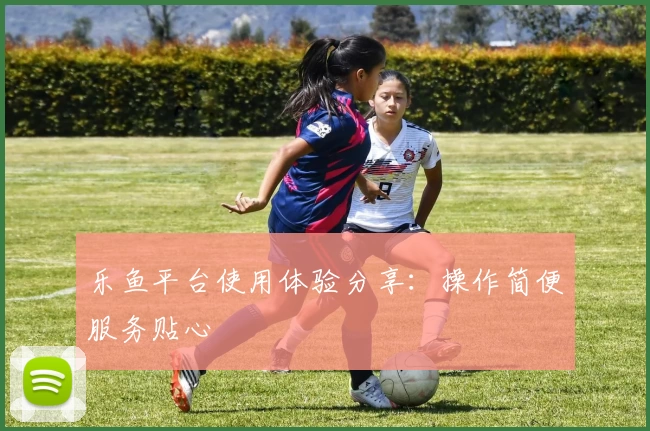 乐鱼平台使用体验分享：操作简便服务贴心