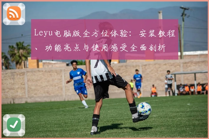 Leyu电脑版全方位体验：安装教程、功能亮点与使用感受全面剖析