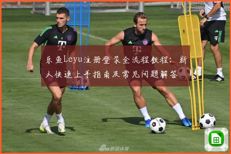 乐鱼Leyu注册登录全流程教程：新人快速上手指南及常见问题解答