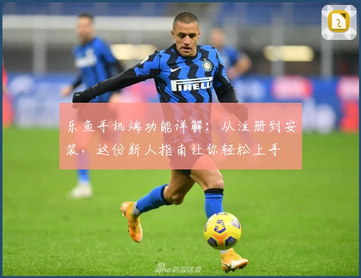 乐鱼手机端功能详解：从注册到安装，这份新人指南让你轻松上手